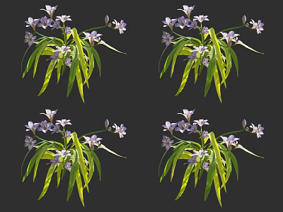 Modern Flowers 3d model