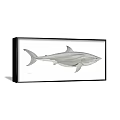 Blue And White Shark Watercolor Animal Painting In Black Frame Wall Art