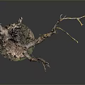 Natural Decorative Wooden Tree Stump with Stone Base and Twisted Branches