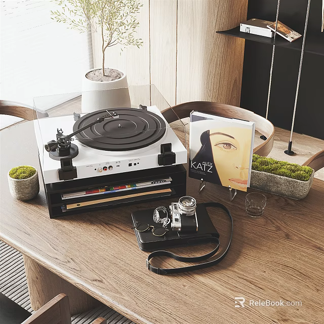 Vintage Turntable Audio System with Headphones Camera and Plants on Wooden Table 3d model 
