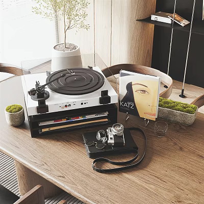 Vintage Turntable Audio System with Headphones Camera and Plants on Wooden Table 3d model