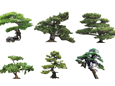 Varied Pine Trees with Diverse Shapes and Lush Green Foliage for Landscaping 3d model