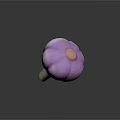 Fresh Purple Garlic Bulb Placed on Orange Checkered Mat Surface