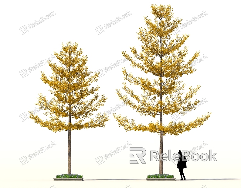 Ginkgo Tree Landscape Street Tree Autumn Park Greening Shrub Group model