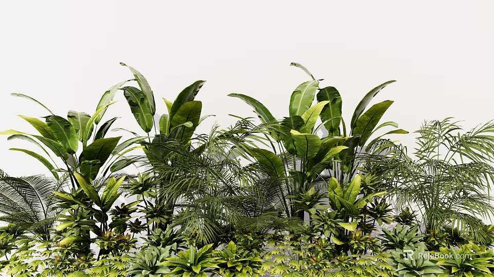 Lush Green Tropical Plants With Banana Leaves And Fern Foliage In Garden 3d model 