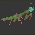 grasshopper insect cartoon locust animation locust anime locust anime game character 3d model