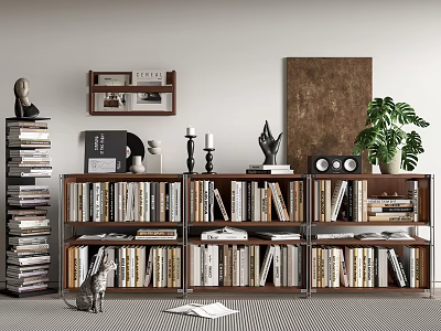 Modern Bookcase Interior Design With Wooden Shelves Metal Frame Books Decorative Items And Green Plants 3d model