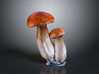 Detailed View Of Human Organs And Hair Follicles In Medical Research 3d model