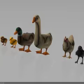 Cartoon Style Farm Animals Including Ducklings Ducks Goose Hen And Bird