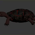 Red Turtle with Glowing Lava Like Cracks on Shell in Dark Background 3d model