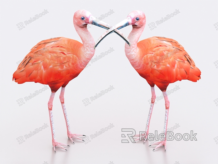 Flamingo Crested Ibis model