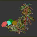 Lush Green Palm Trees And Various Tropical Plants With Vibrant Leaves