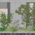 Indoor Natural Landscape With Lush Trees Green Plants Gray Wall Stones And Gravel