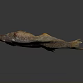 Whole Dried Fish With Golden Brown Skin And Crispy Texture As Traditional Cooking Ingredient