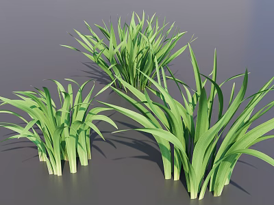 3D Rendered Green Herbaceous Plants With Long Slender Leaves In Natural Growth 3d model