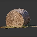 Round Hay Bale Resting on Green Grass in Outdoor Rural Setting