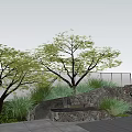 Natural Rockery Stones In Garden Landscape With Green Grass Tree And Water Basin