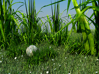 modern grassland 3d model