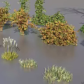 Diverse Plant Combination Featuring Trees Shrubs Grasses And Various Foliage Varieties