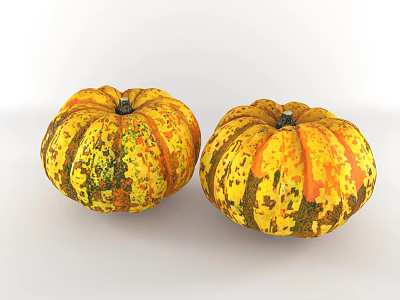Two Fresh Colorful Pumpkin Vegetables With Yellow Orange And Green Spots 3d model