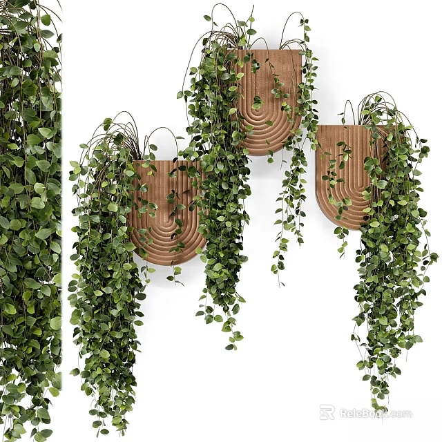 Wooden Wall Mounted Decorative Ornament Set With Hanging Green Vines And Lush Foliage 3d model 