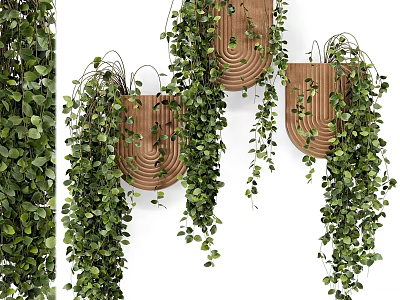 Wooden Wall Mounted Decorative Ornament Set With Hanging Green Vines And Lush Foliage 3d model