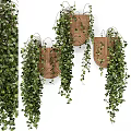 Wooden Wall Mounted Decorative Ornament Set With Hanging Green Vines And Lush Foliage