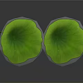 Two Vibrant Green Lotus Leaves Displayed Against Dark Background With Natural Texture