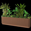 Brown Rectangular Garden Planter with Various Green Foliage Plants and Lush Greenery 3d model