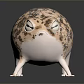Cartoon Frog With Plump Body Spotted Pattern Big Eyes And Short Legs