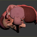 Medical Device 3D Anatomical Model Displaying Human Digestive System Organs for Education 3d model
