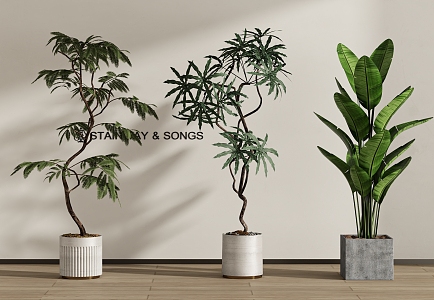 Modern Green Plant Potted Plant Combination 3d model