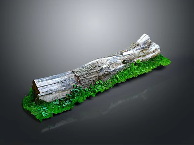 Natural Wooden Log Decorative Piece With Green Grass Base On Dark Background 3d model