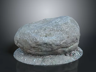 Natural Wood And Stone Material Decorative Rock With Gravel Moss Base 3d model