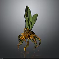 Orange Mechanical Creature With Spider Like Legs And Green Leaf Like Structures On Back 3d model