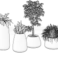 Modern Bonsai Potted Plants Arrangement With Natural Wood Planters And Various Green Foliage