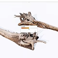 Natural Stone Wood Decorative Pieces With Organic Textures And Unique Shapes