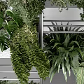 Hanging Basket Green Plants In Vertical Metal Frame With Various Foliage And Decorative Design