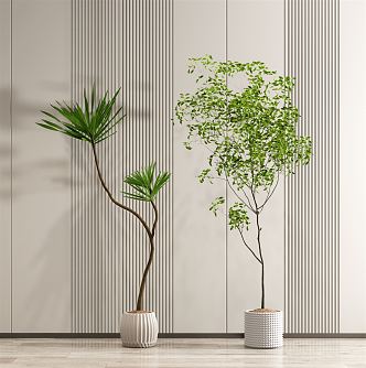 modern potted plant potted plant 3d model