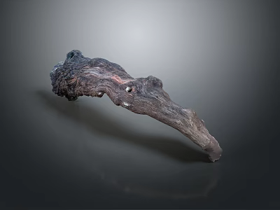 Twisted Plant Root With Natural Texture And Unique Shape On Gray Background 3d model