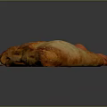 Freshly Baked Braided Bread And Triangular Flaky Pastry On