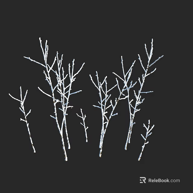 White Leafless Plant Branches On Black Background With Various Sizes And Shapes 3d model 
