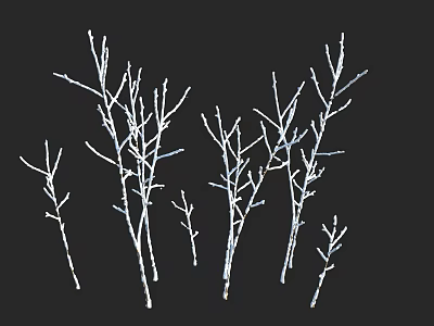 White Leafless Plant Branches On Black Background With Various Sizes And Shapes 3d model
