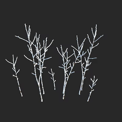 White Leafless Plant Branches On Black Background With Various Sizes And Shapes 3d model