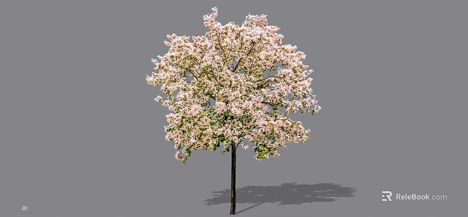 Lush Blooming Arbor With Pink Flowers Dark Trunk And Natural Shadow 3d model 