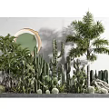 Indoor Tropical Plants Display With Palm Trees Cacti And Round Green Mirror