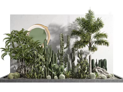 Indoor Tropical Plants Display With Palm Trees Cacti And Round Green Mirror 3d model