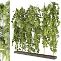 Lush Green Plant Wall Decorative Vertical Design With Trailing Vines Ferns And Metal Frame Support