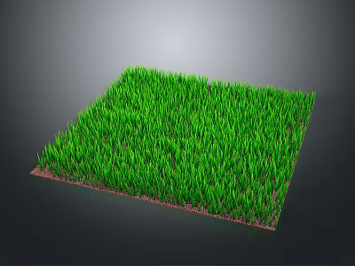 Lush Green Square Grass Turf Plant With Dense Blades And Brown Base 3d model