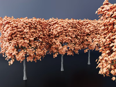 Autumn Colored Trees With Orange Red Leaves And Gray Trunks Against Dark Background 3d model